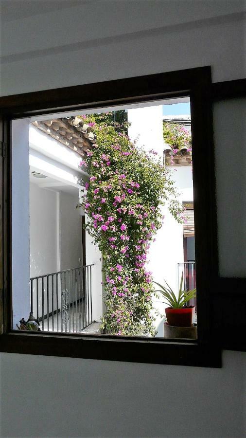 Lola5 Apartment Cordoba Exterior photo